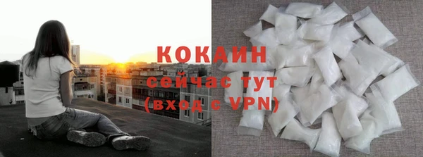 прущие грибы Анжеро-Судженск