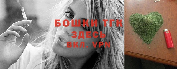 СК Медногорск