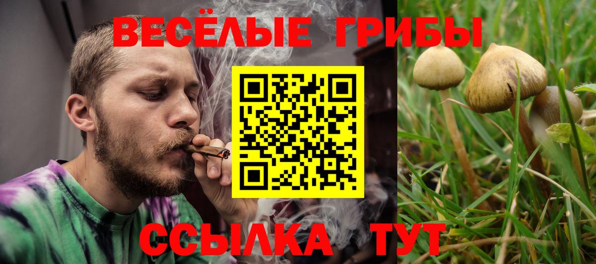 Псилоцибиновые грибы Magic Shrooms Джанкой